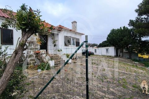 Byhus i Sintra, Lisbon, Sintra - € 850.000 | Ref: 70201 - foto 2