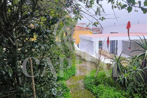 Byhus i Sintra, Lisbon, Sintra - € 850.000 | Ref: 70201 - foto 7