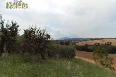 Villa i Offida, Ascoli Piceno, Offida - € 209.000 | Ref: 96 - foto 9