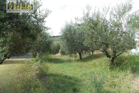 Villa i Offida, Ascoli Piceno, Offida - € 209.000 | Ref: 96 - foto 12