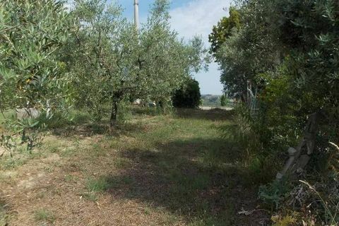 Villa i Offida, Ascoli Piceno, Offida - € 209.000 | Ref: 96 - foto 13