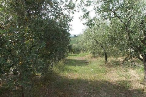 Villa i Offida, Ascoli Piceno, Offida - € 209.000 | Ref: 96 - foto 14