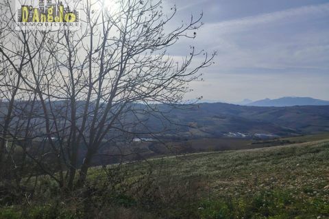 Villa a Cossignano, Ascoli Piceno, Cossignano - € 330.000 | Ref: 147 - foto 8