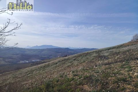 Villa a Cossignano, Ascoli Piceno, Cossignano - € 330.000 | Ref: 147 - foto 10