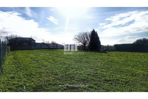 Villa a Areosa, Viana do Castelo, Areosa - € 220.000 | Ref: VCC14664 - foto 2