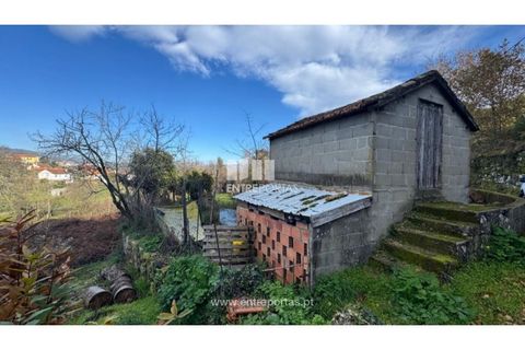 Helårsgrund i Cinfaes, Viseu, Cinfaes - € 17.500 | Ref: MC09874 - foto 2