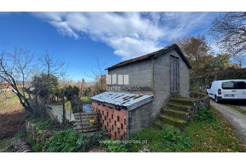 Helårsgrund i Cinfaes, Viseu, Cinfaes - € 17.500 | Ref: MC09874 - foto 3
