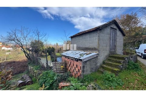 Helårsgrund i Cinfaes, Viseu, Cinfaes - € 17.500 | Ref: MC09874 - foto 4