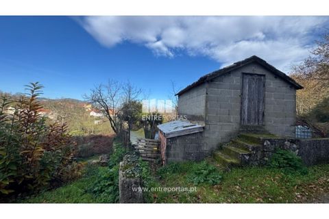 Helårsgrund i Cinfaes, Viseu, Cinfaes - € 17.500 | Ref: MC09874 - foto 5