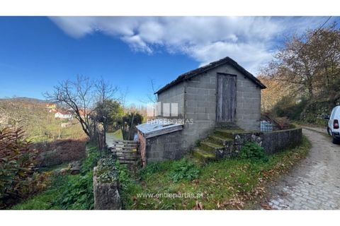 Helårsgrund i Cinfaes, Viseu, Cinfaes - € 17.500 | Ref: MC09874 - foto 6