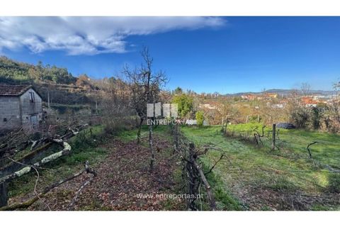 Helårsgrund i Cinfaes, Viseu, Cinfaes - € 17.500 | Ref: MC09874 - foto 7