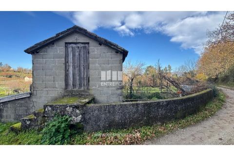 Helårsgrund i Cinfaes, Viseu, Cinfaes - € 17.500 | Ref: MC09874 - foto 8