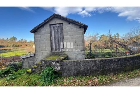 Helårsgrund i Cinfaes, Viseu, Cinfaes - € 17.500 | Ref: MC09874 - foto 9