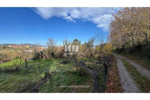 Helårsgrund i Cinfaes, Viseu, Cinfaes - € 17.500 | Ref: MC09874 - foto 10