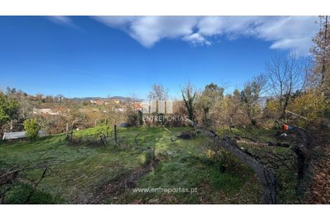 Helårsgrund i Cinfaes, Viseu, Cinfaes - € 17.500 | Ref: MC09874 - foto 11
