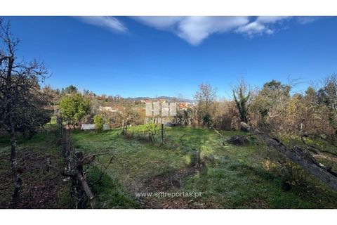 Helårsgrund i Cinfaes, Viseu, Cinfaes - € 17.500 | Ref: MC09874 - foto 12