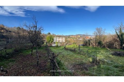 Helårsgrund i Cinfaes, Viseu, Cinfaes - € 17.500 | Ref: MC09874 - foto 13