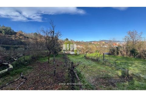 Helårsgrund i Cinfaes, Viseu, Cinfaes - € 17.500 | Ref: MC09874 - foto 14