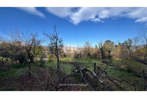 Helårsgrund i Cinfaes, Viseu, Cinfaes - € 17.500 | Ref: MC09874 - foto 15