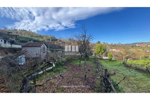 Helårsgrund i Cinfaes, Viseu, Cinfaes - € 17.500 | Ref: MC09874 - foto 16