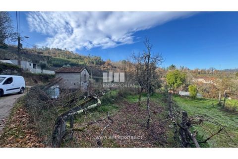 Helårsgrund i Cinfaes, Viseu, Cinfaes - € 17.500 | Ref: MC09874 - foto 17