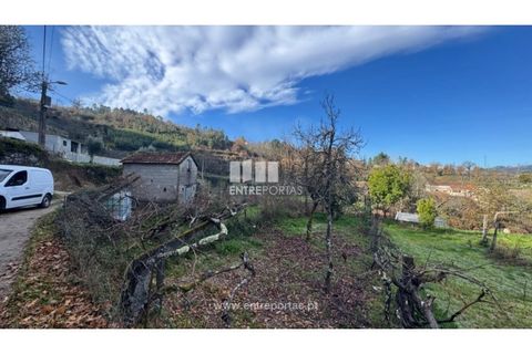 Helårsgrund i Cinfaes, Viseu, Cinfaes - € 17.500 | Ref: MC09874 - foto 18