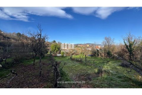 Helårsgrund i Cinfaes, Viseu, Cinfaes - € 17.500 | Ref: MC09874 - foto 19