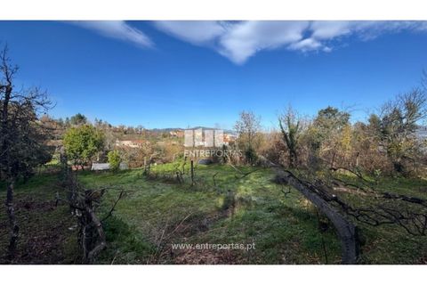 Helårsgrund i Cinfaes, Viseu, Cinfaes - € 17.500 | Ref: MC09874 - foto 20