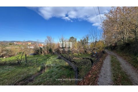Helårsgrund i Cinfaes, Viseu, Cinfaes - € 17.500 | Ref: MC09874 - foto 21