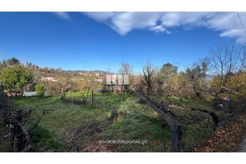 Helårsgrund i Cinfaes, Viseu, Cinfaes - € 17.500 | Ref: MC09874 - foto 22