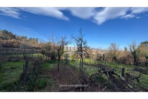 Helårsgrund i Cinfaes, Viseu, Cinfaes - € 17.500 | Ref: MC09874 - foto 23