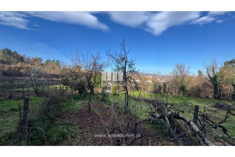 Helårsgrund i Cinfaes, Viseu, Cinfaes - € 17.500 | Ref: MC09874 - foto 24