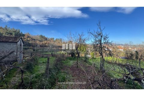 Helårsgrund i Cinfaes, Viseu, Cinfaes - € 17.500 | Ref: MC09874 - foto 25