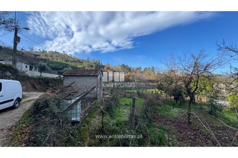 Helårsgrund i Cinfaes, Viseu, Cinfaes - € 17.500 | Ref: MC09874 - foto 26