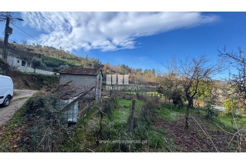 Helårsgrund i Cinfaes, Viseu, Cinfaes - € 17.500 | Ref: MC09874 - foto 27