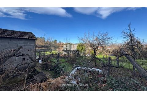 Helårsgrund i Cinfaes, Viseu, Cinfaes - € 17.500 | Ref: MC09874 - foto 28