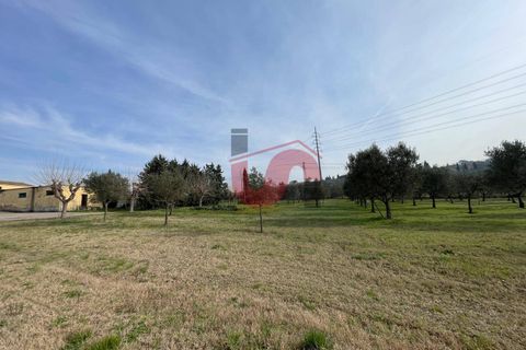 Terra a Benevento, Benevento, Benevento - € 185.000 | Ref: AA39826 - foto 2