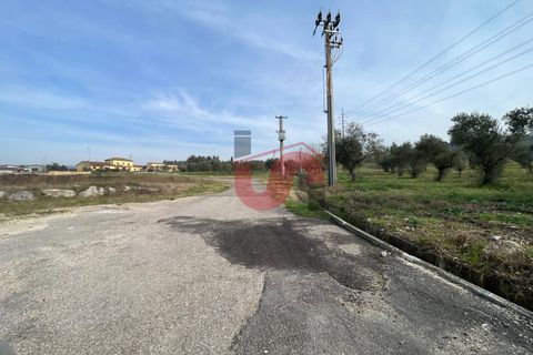 Terra a Benevento, Benevento, Benevento - € 185.000 | Ref: AA39826 - foto 5