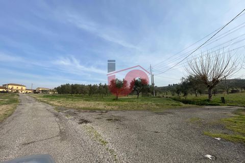 Terra a Benevento, Benevento, Benevento - € 185.000 | Ref: AA39826 - foto 6