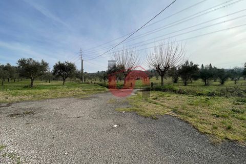 Terra a Benevento, Benevento, Benevento - € 185.000 | Ref: AA39826 - foto 7