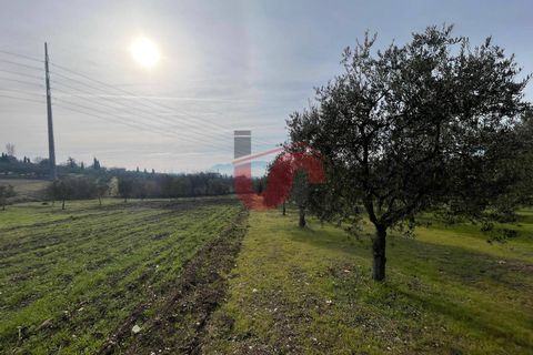 Terra a Benevento, Benevento, Benevento - € 185.000 | Ref: AA39826 - foto 11