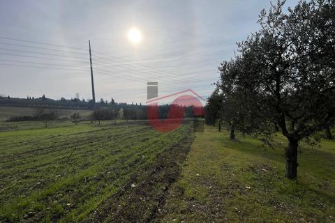 Terra a Benevento, Benevento, Benevento - € 185.000 | Ref: AA39826 - foto 12