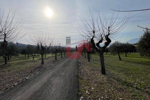 Terra a Benevento, Benevento, Benevento - € 185.000 | Ref: AA39826 - foto 16