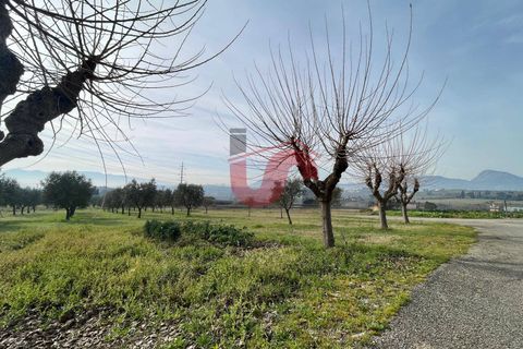 Terra a Benevento, Benevento, Benevento - € 185.000 | Ref: AA39826 - foto 17