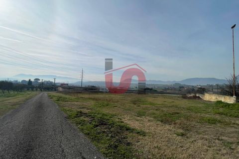 Terra a Benevento, Benevento, Benevento - € 185.000 | Ref: AA39826 - foto 18