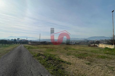 Terra a Benevento, Benevento, Benevento - € 185.000 | Ref: AA39826 - foto 19