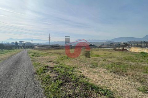 Terra a Benevento, Benevento, Benevento - € 185.000 | Ref: AA39826 - foto 21