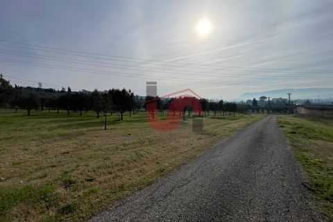 Terra a Benevento, Benevento, Benevento - € 185.000 | Ref: AA39826 - foto 22