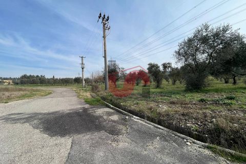 Terra a Benevento, Benevento, Benevento - € 185.000 | Ref: AA39826 - foto 23