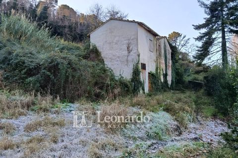 Villa i Massarosa, Lucca, Massarosa - € 200.000 | Ref: S463 - foto 1